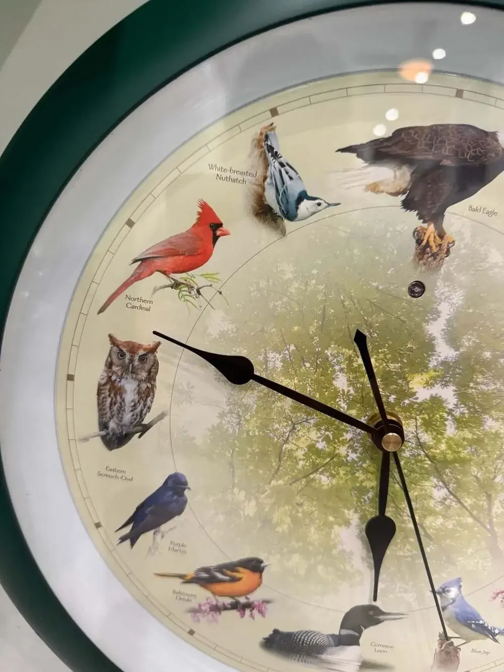 Singing Bird Clock 13” Wall Hanging w/ 12 Hourly Songs & Light Sensor Mute